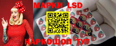 стаф Шелехов