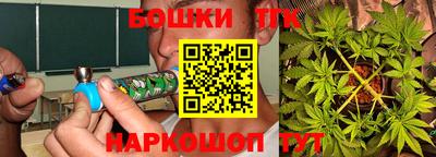 стаф Шелехов
