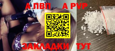 стаф Шелехов