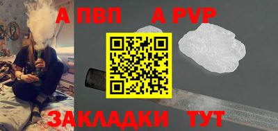 стаф Шелехов