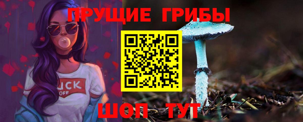 Галлюциногенные грибы Psilocybe  Вход с VPN  Верхняя Пышма  Галлюциногенные грибы Cubensis 