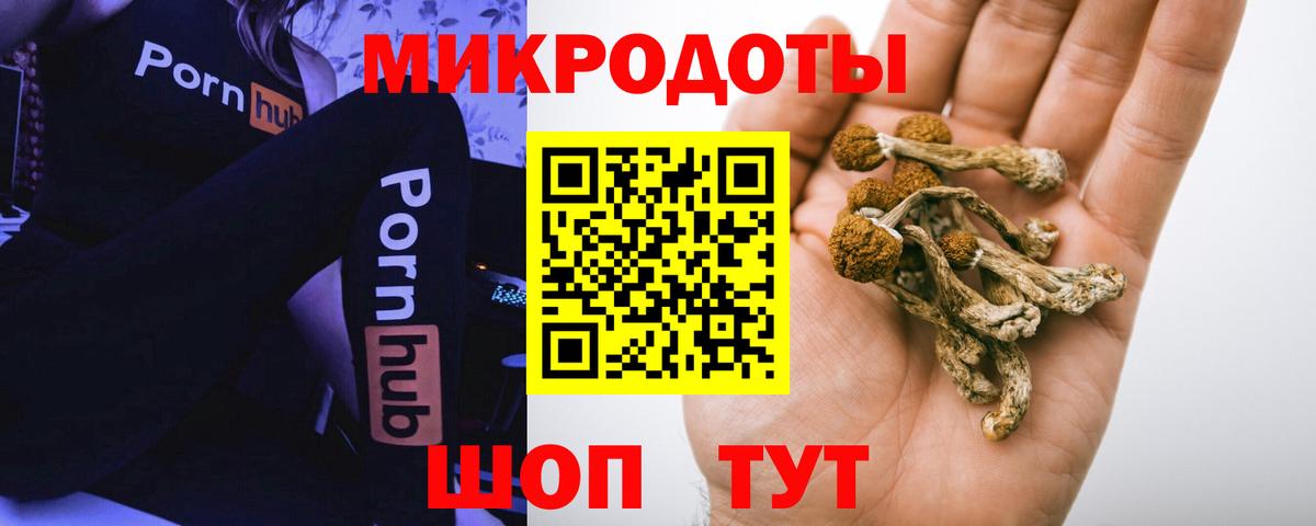 Псилоцибиновые грибы мицелий Верхняя Пышма